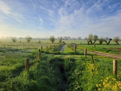 Ontdek de Veluwe